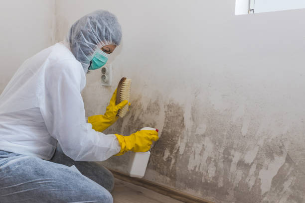 Bressler, PA Mold Remediation Company